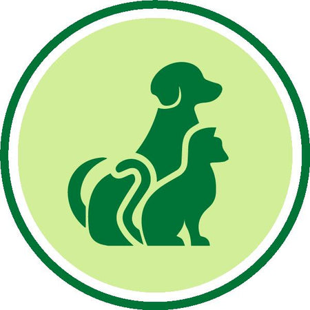 Animais de estimação